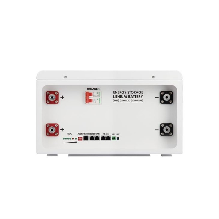 48V LiFePO4 Lithium Battery